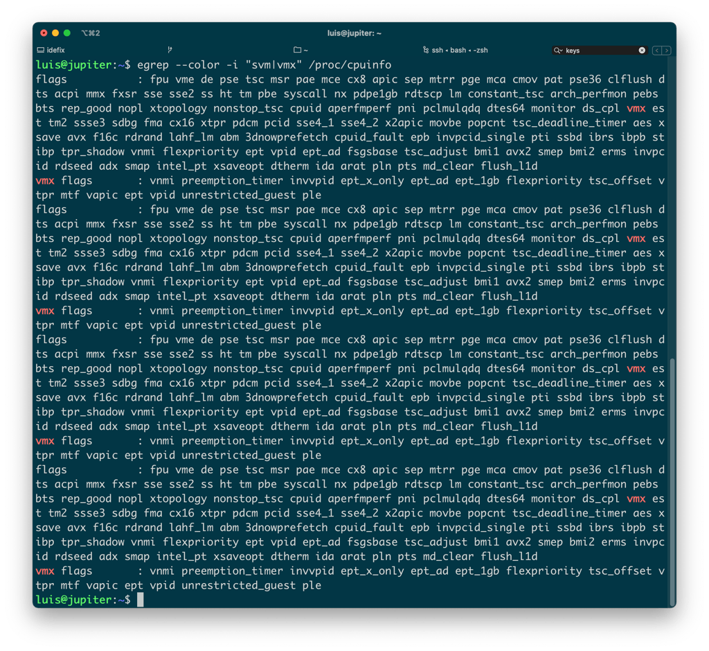 Busco 'vmx' (Intel-VT) o 'svm' (AMD-V)